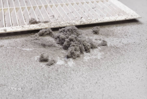 Best Ductwork Cleaning Services  in Prces Lakes, IN