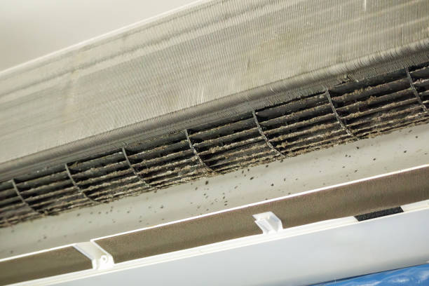 Best Affordable Air Duct Cleaning  in Prces Lakes, IN