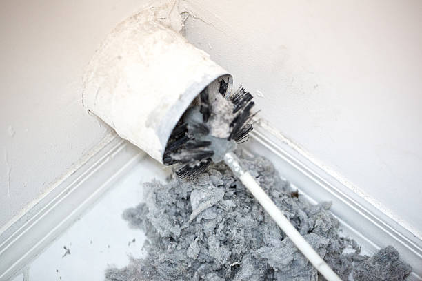 Best Local Air Duct Cleaning Services  in Prces Lakes, IN